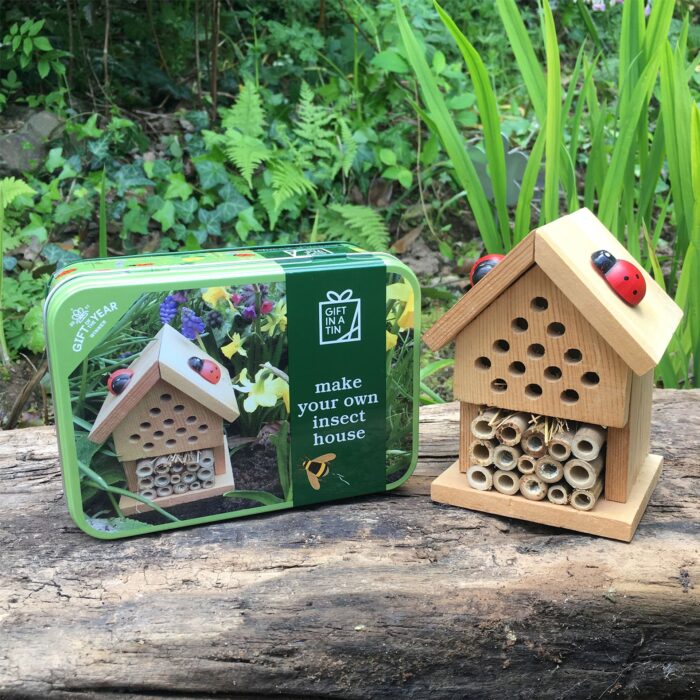 Make Your Own Insect House Set