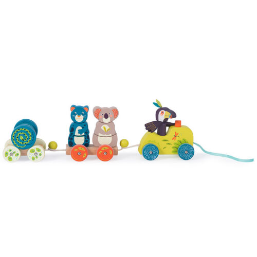Colorful Wooden Activity Train Pull Toy